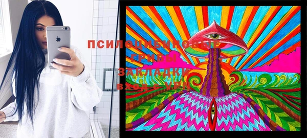 прущий лед Михайлов