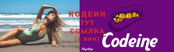 прущий лед Михайлов