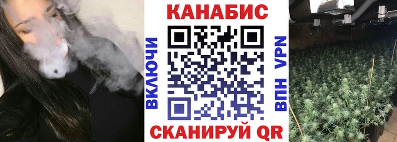Канабис OG Kush  где можно купить наркотик  Правдинск 